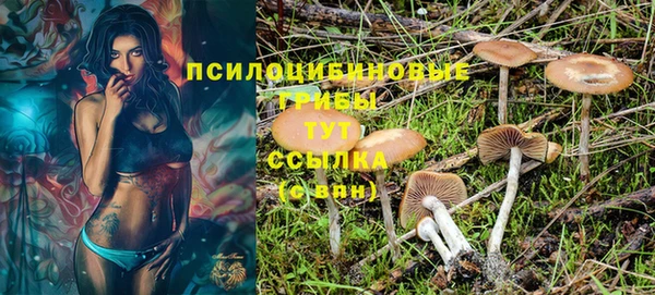герыч Домодедово