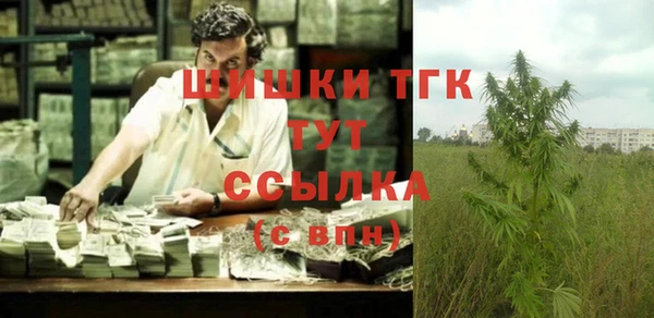 МДПВ Навашино